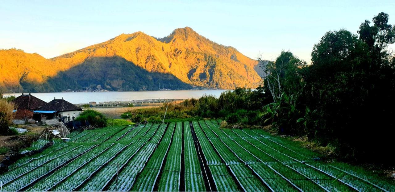 Volcano Lake View Kintamani Екстериор снимка